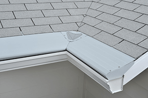 Gutter Helmet Dealers | Rockford IL | Lask Exterior Solutions, LLC